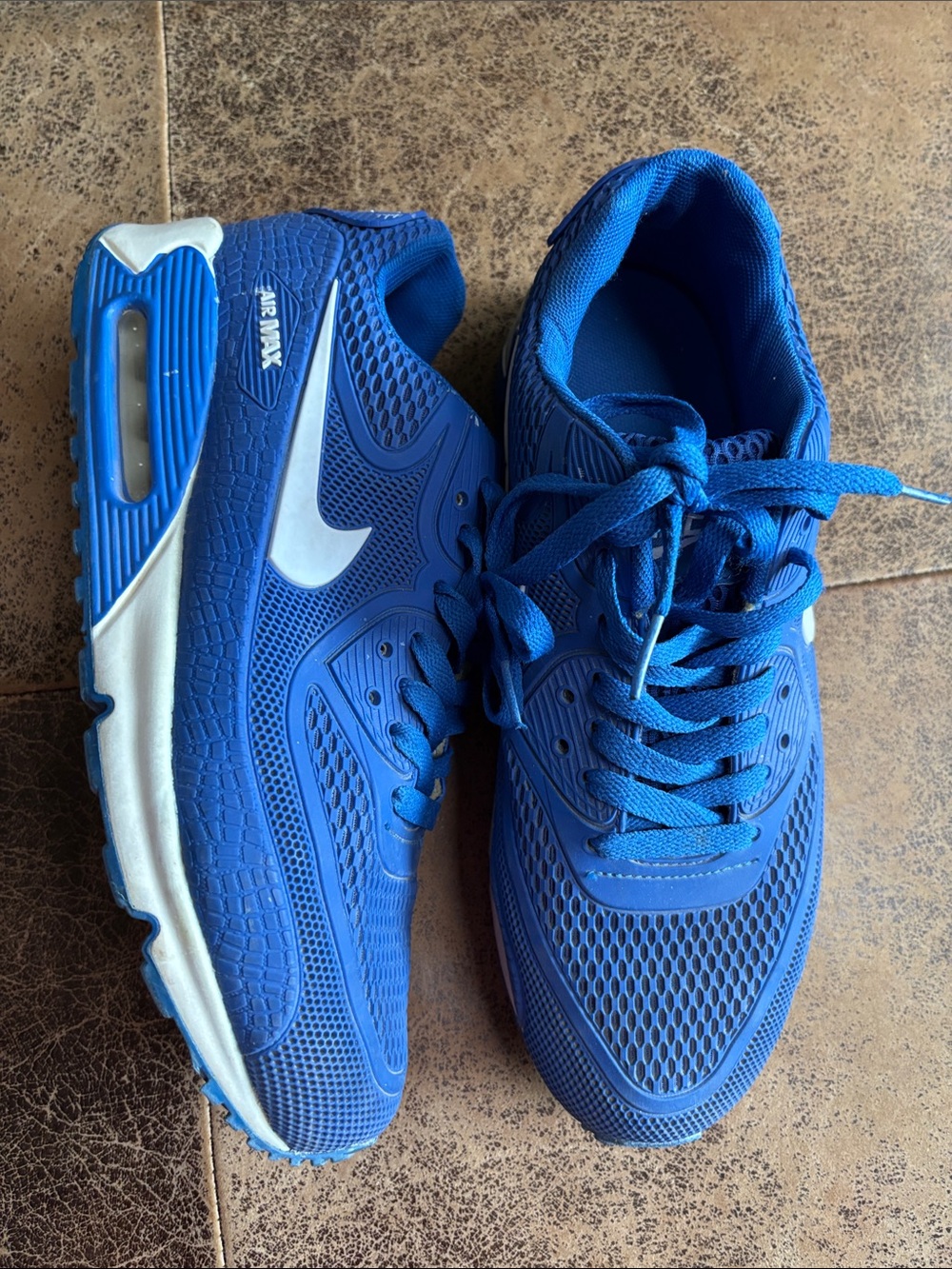 Nike Royal Blue Air Max Running Shoes